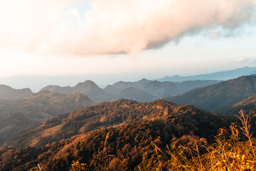 实测分析“微乐山西麻将万能开挂器免费怎么使用”开挂(透视)辅助教程